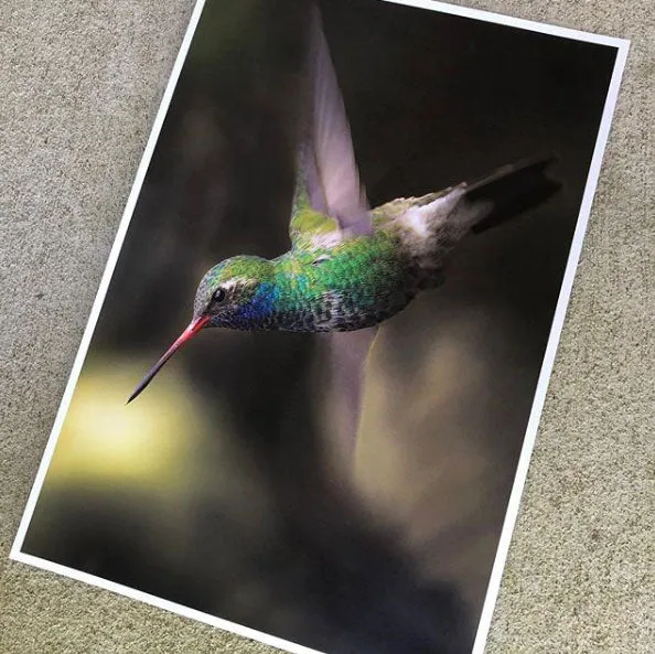 13x19 Small Posters